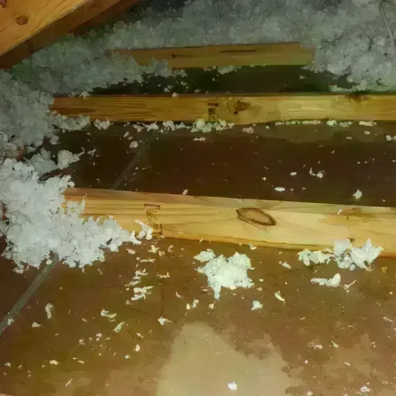 Attic Water Damage in San Juan County, NM